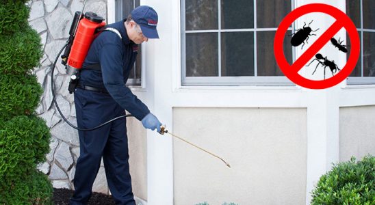 Palandöken Bit İlaçlama böcek ilaçlama ve haşere kontrolü — ilaclama-tr.com